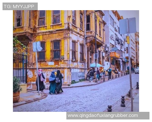 巴黎与伊斯坦布的文化碰撞与历史交融探索之旅